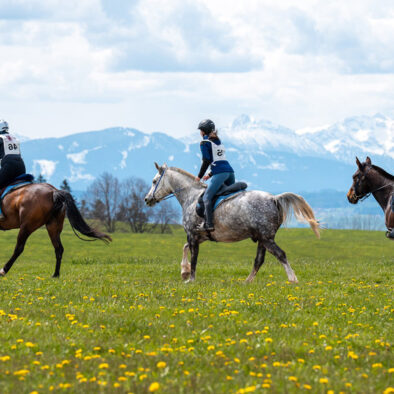 Urlaub mit Hund, Ferienwohnung mit Hund Allgäu, Ferienhof, Urlaub, Ferienvermietung, Ferienwohnung, Sehenswürdigkeiten, Allgäu Ferienhaus Übernachtung im Allgäu Reiterhof Urlaub mit Hund Reitstall Familien Urlaub, Gestüt Bauernhof, Urlaub Urlaub auf dem Bauernhof. Urlaub im Allgäu Urlaub mit Pferden. Ferien Bauernhof, YouTube Pferdewissen, Sternschnuppe Haflinger, Janina Fischer Lea Fischer