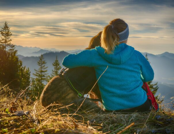 Urlaub mit Hund, Ferienwohnung mit Hund Allgäu, Ferienhof, Urlaub, Ferienvermietung, Ferienwohnung, Sehenswürdigkeiten, Allgäu Ferienhaus Übernachtung im Allgäu Reiterhof Urlaub mit Hund Reitstall Familien Urlaub, Gestüt Bauernhof, Urlaub Urlaub auf dem Bauernhof. Urlaub im Allgäu Urlaub mit Pferden. Ferien Bauernhof, YouTube Pferdewissen, Sternschnuppe Haflinger, Janina Fischer Lea Fischer