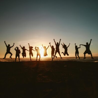 Freunde und Helfer am Hof